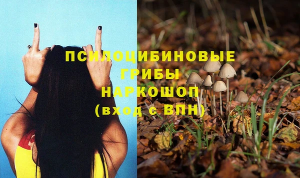 Альфа ПВП Новокубанск