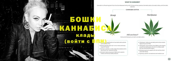 a pvp Новодвинск