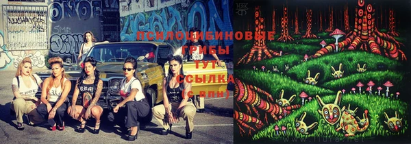 a pvp Новодвинск