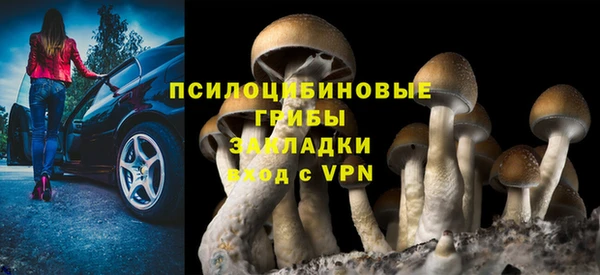 a pvp Новодвинск