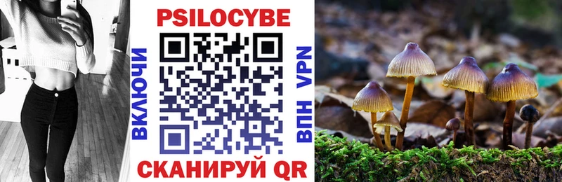 Псилоцибиновые грибы Psilocybine cubensis  Купить  Кадников 